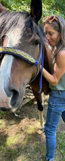 horse
