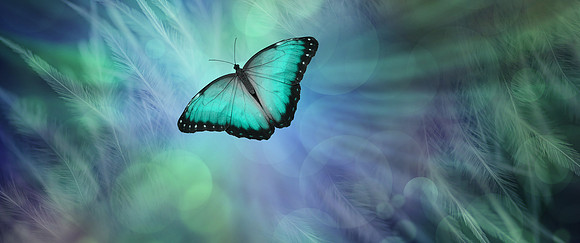 AdobeStock_192236186