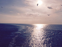 ocean