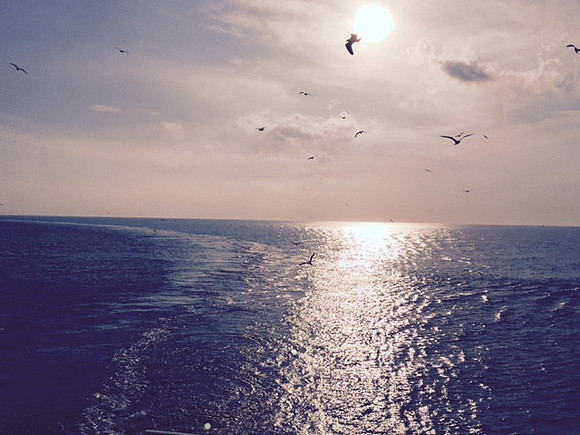 ocean