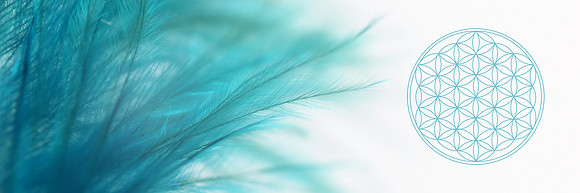AdobeStock_213967660