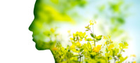 AdobeStock_206373095