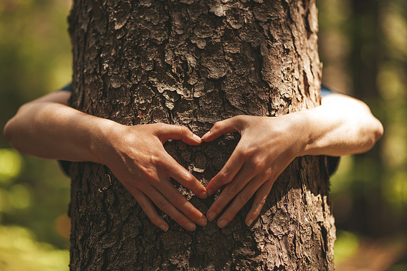 AdobeStock_444044791