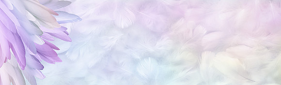 AdobeStock_335223790