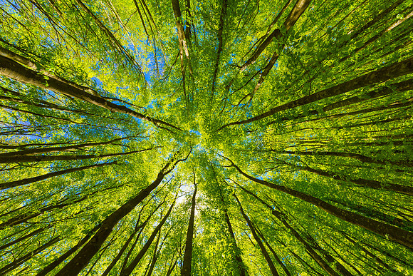 AdobeStock_305060700