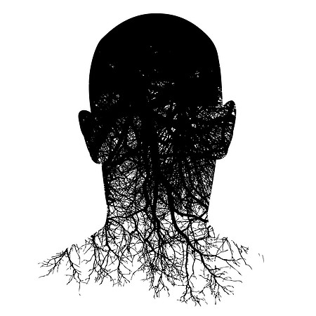 AdobeStock_256247852